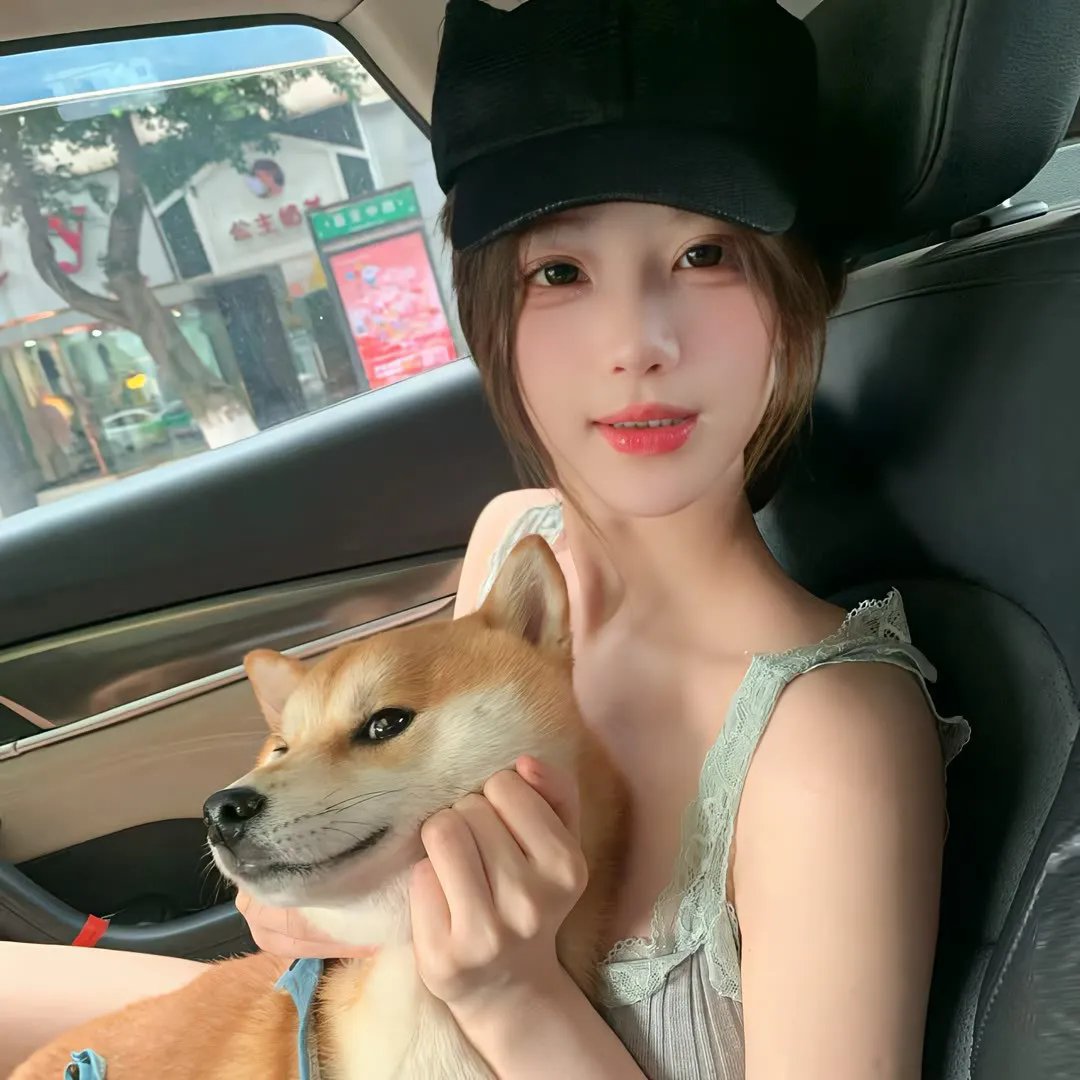 情网